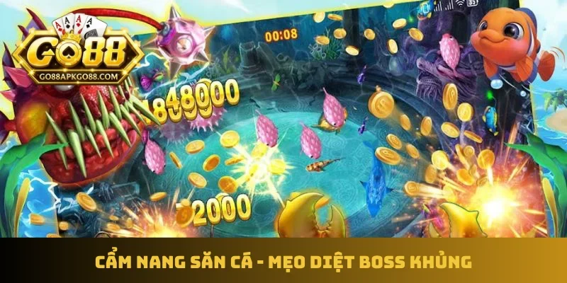 Cẩm nang săn cá