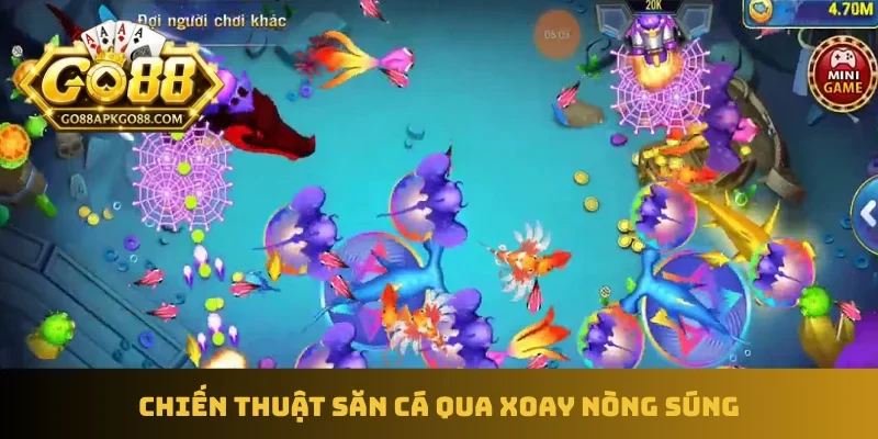 Chiến thuật săn cá qua xoay nòng súng