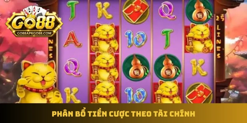 Phân bổ tiền cược theo tài chính